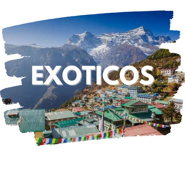 EXOTICOS