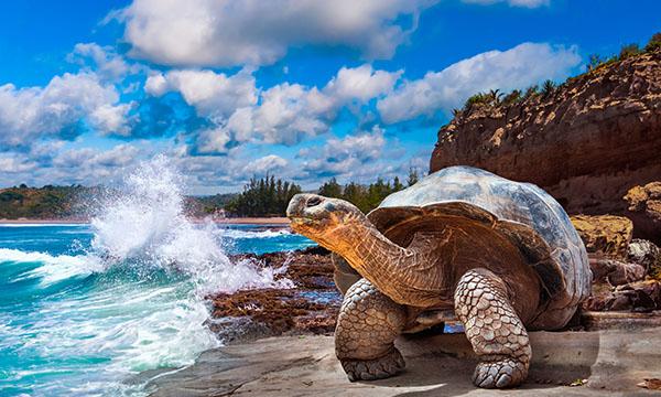 ECUADOR con GALAPAGOS