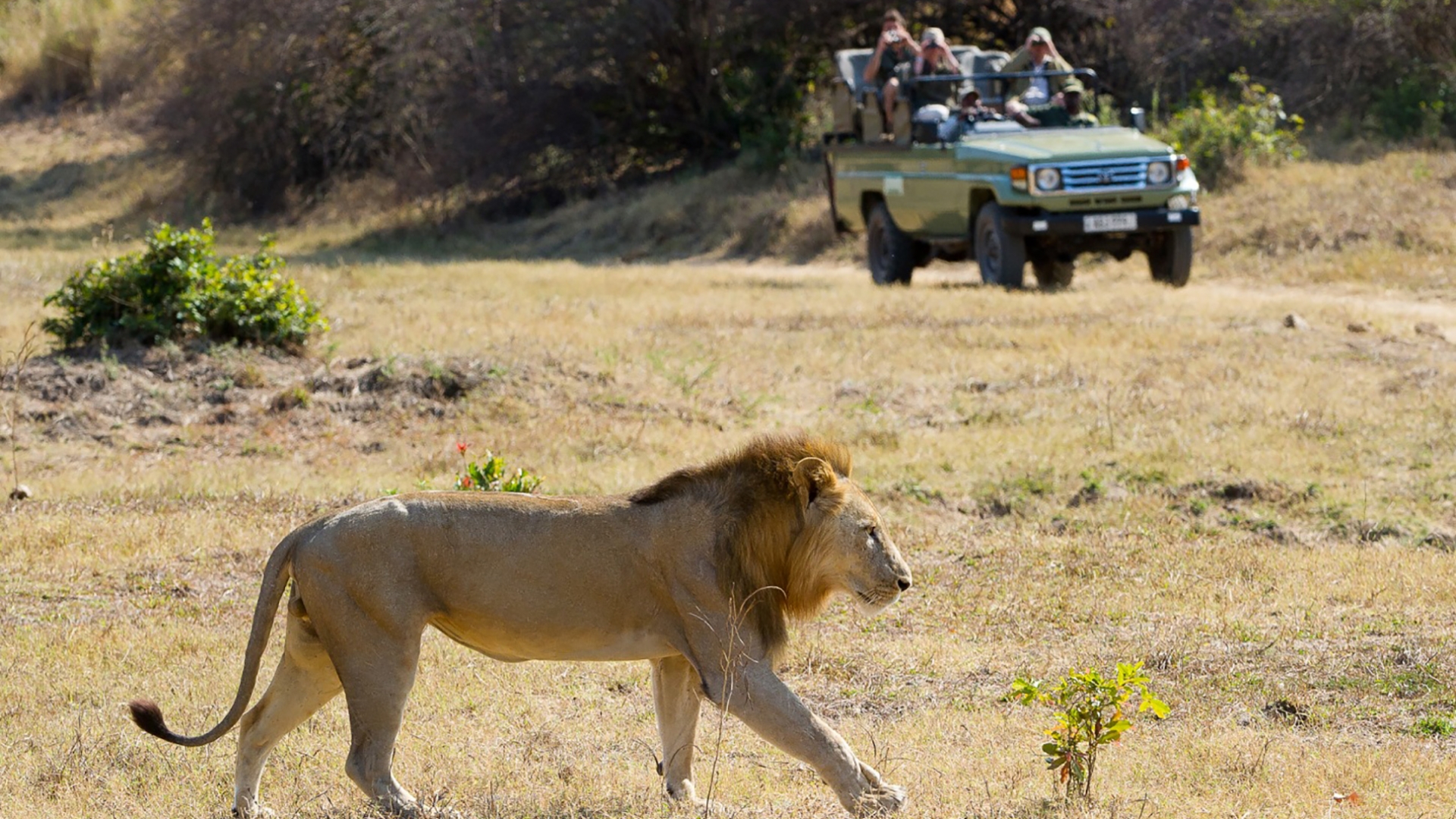 SUDAFRICA de LOCURA 
